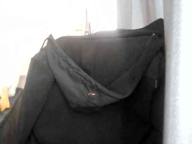 Ornotores_wers webcam