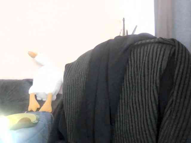 Ornotores_wers webcam