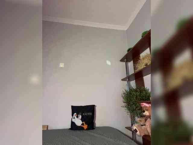 Saliss1 webcam