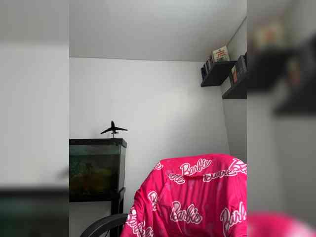 EvanShell1 webcam