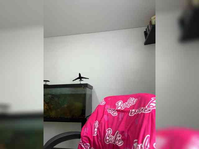 EvanShell1 webcam