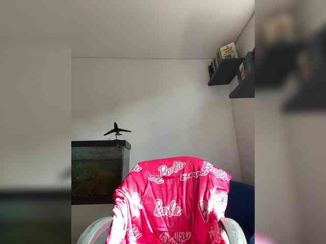 EvanShell1 webcam
