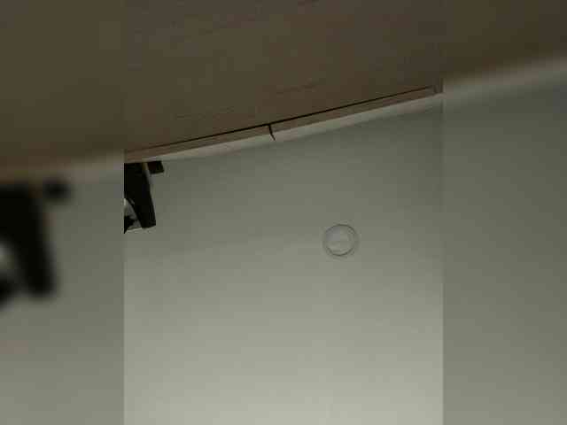 EvanShell1 webcam