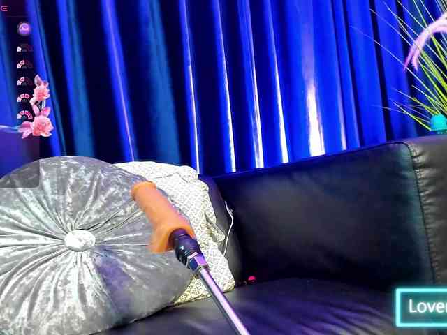 rosa-catalleya webcam