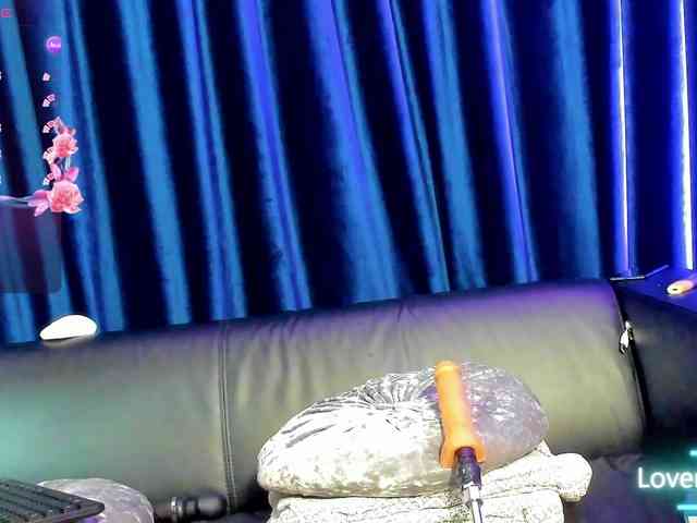 rosa-catalleya webcam