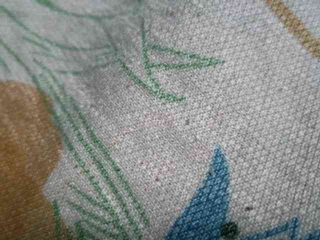 NaughtyWetPieXx webcam