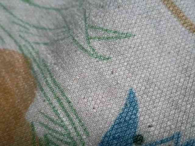 NaughtyWetPieXx webcam