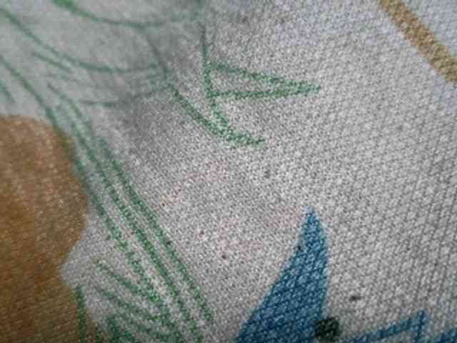 NaughtyWetPieXx webcam