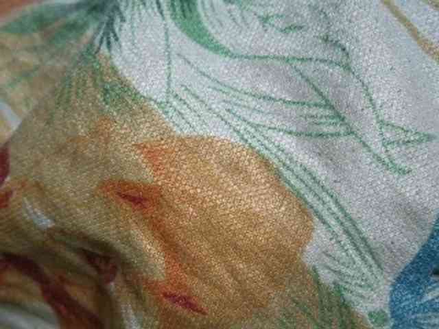 NaughtyWetPieXx webcam