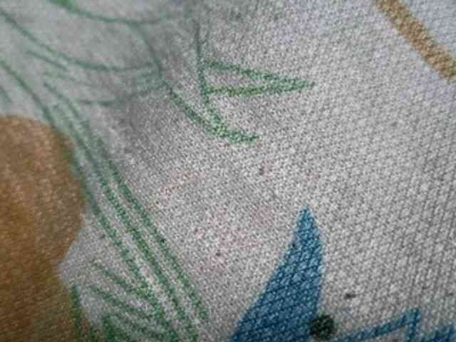 NaughtyWetPieXx webcam