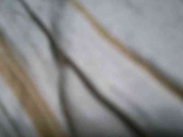 NaughtyWetPieXx webcam