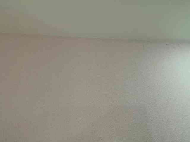Ariellaa webcam