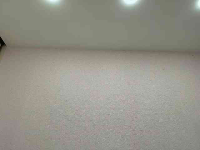 Ariellaa webcam