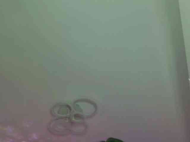 Ivybelle webcam