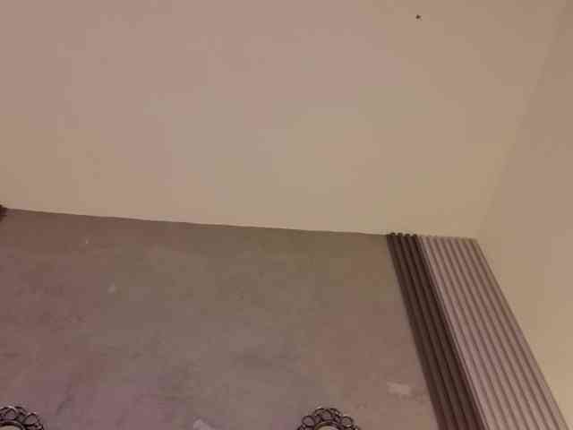 alexaandherson webcam