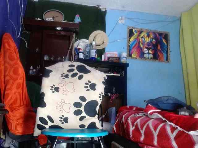 CameliaLong webcam