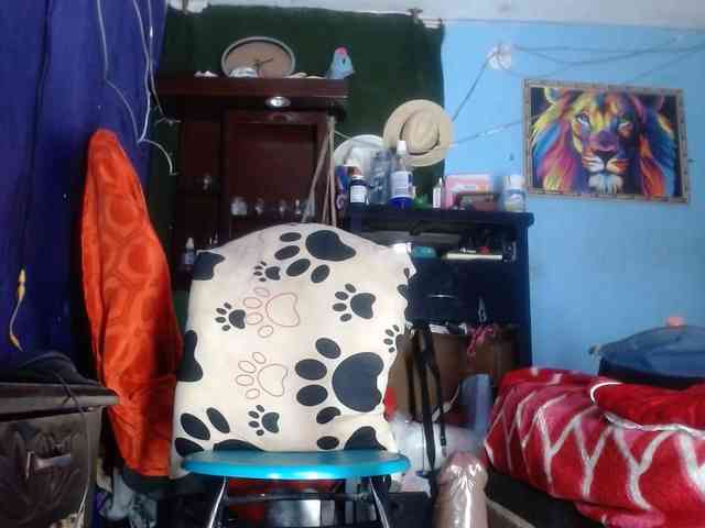 CameliaLong webcam