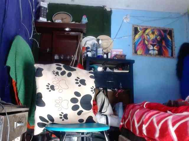 CameliaLong webcam