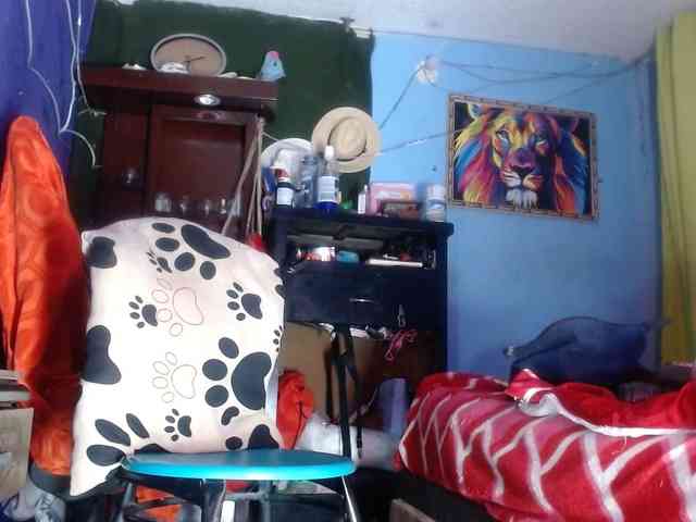 CameliaLong webcam