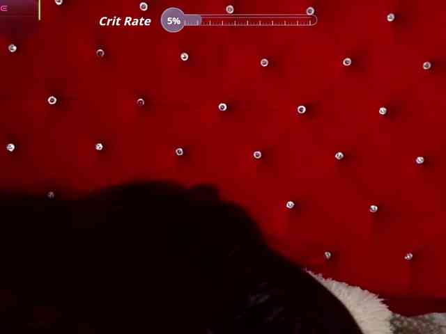 charlotte-ls webcam