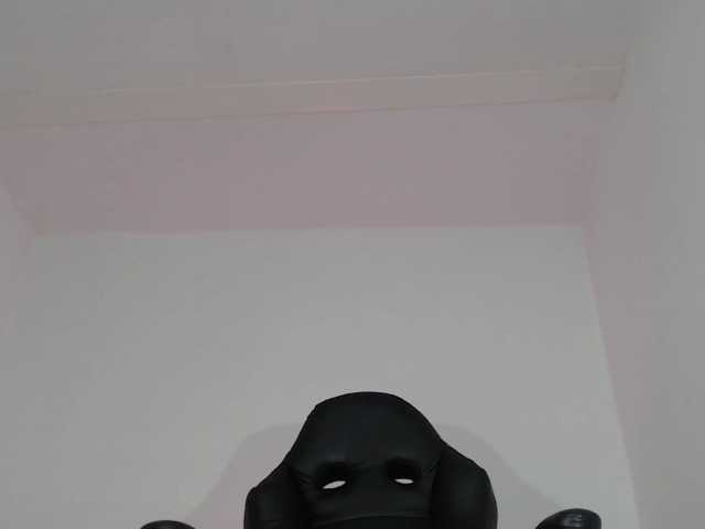 Japonesahot01 webcam