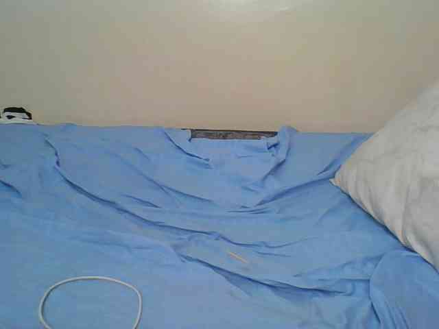 Hornyskyller webcam