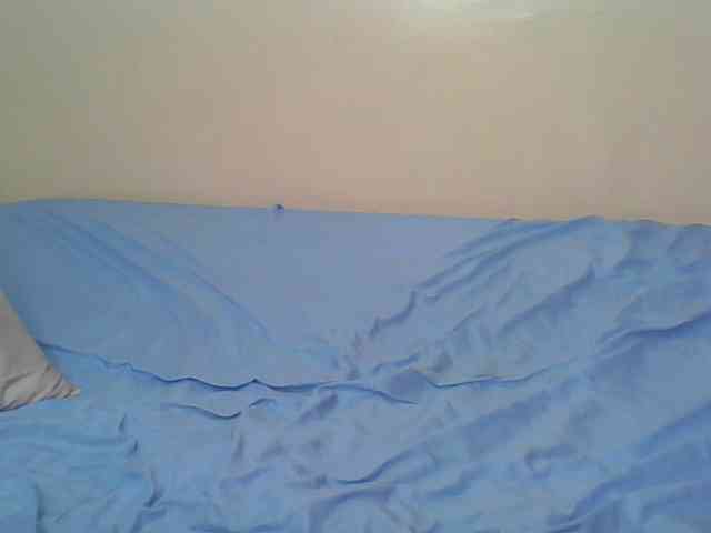 Hornyskyller webcam