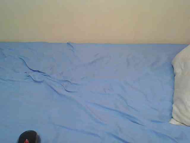 Hornyskyller webcam