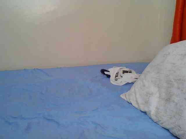 Hornyskyller webcam