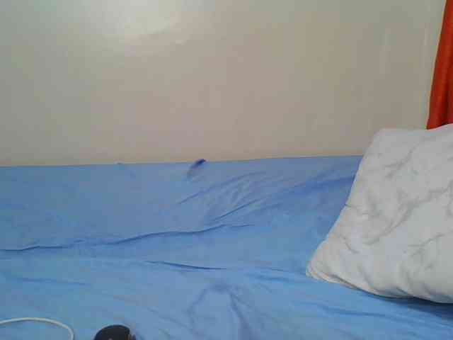 Hornyskyller webcam