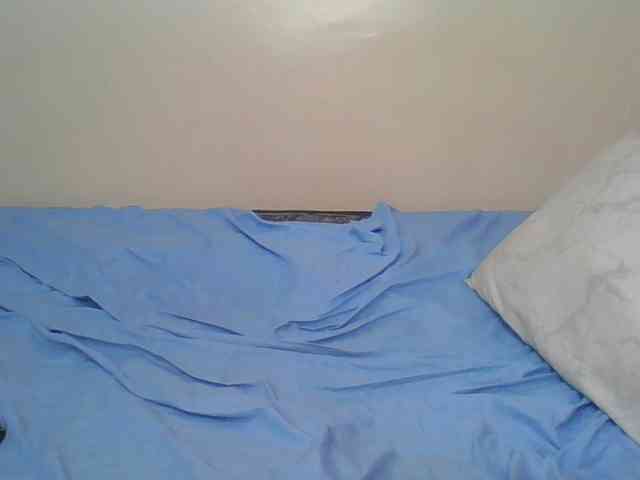 Hornyskyller webcam