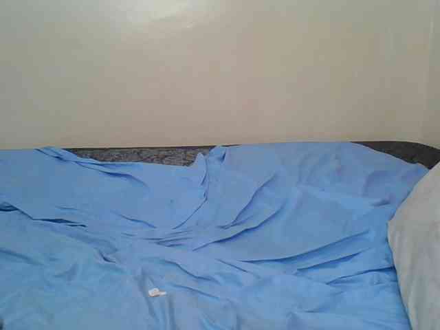 Hornyskyller webcam