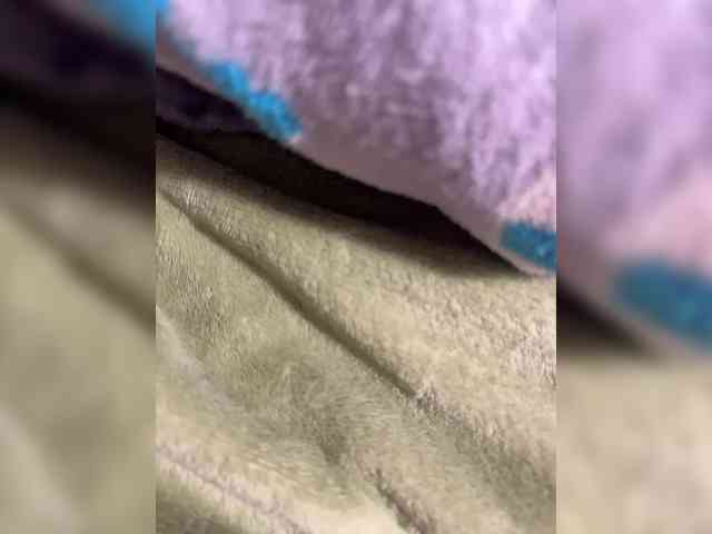 Amber-Lorinda webcam