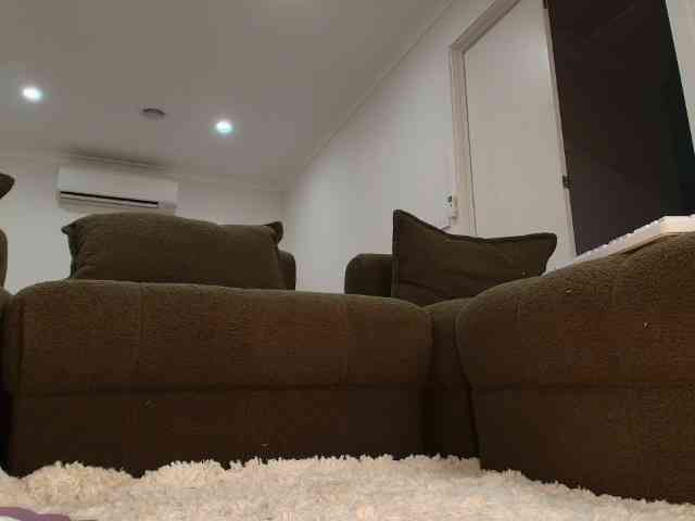 monslifex webcam