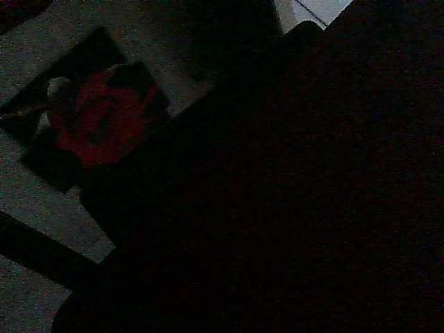 Laurador webcam