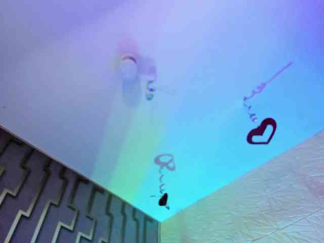 mariapaulac webcam