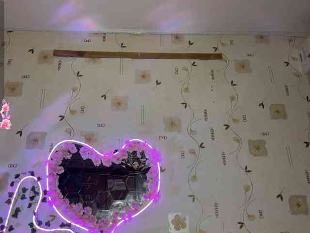 The-best-babies webcam