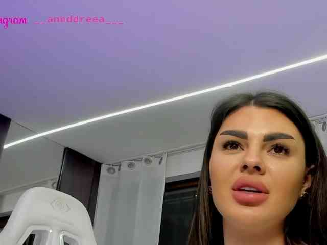PerfectT33n webcam