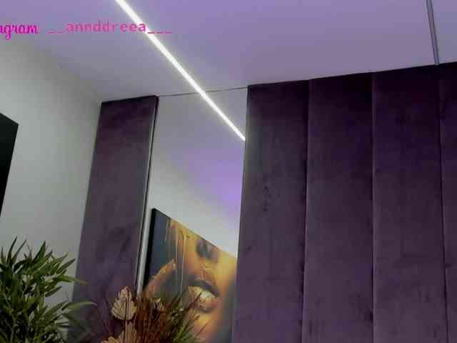 PerfectT33n webcam