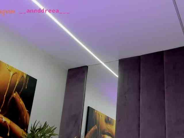 PerfectT33n webcam