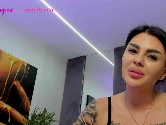 PerfectT33n webcam