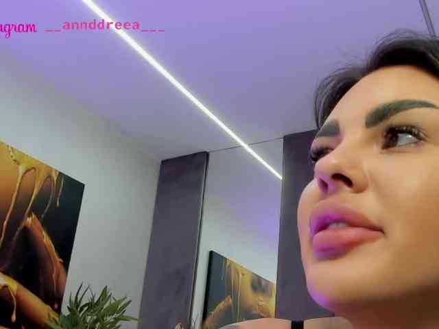PerfectT33n webcam