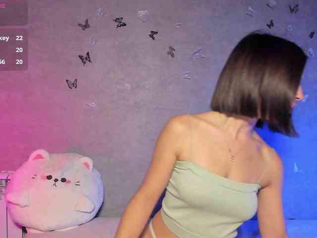 Melaminsy webcam