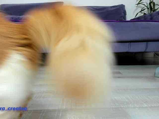 AmaliaNilsson webcam