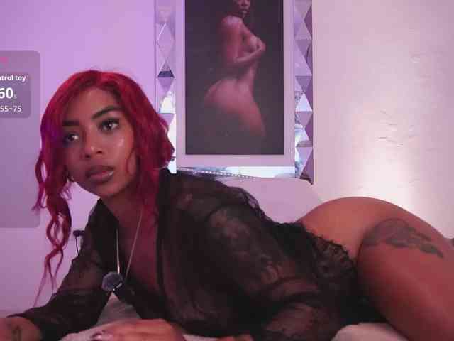 alondrasparrow webcam
