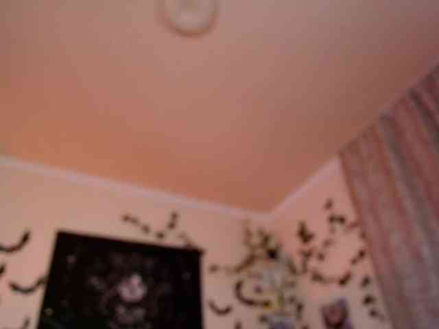 Emily-relish webcam