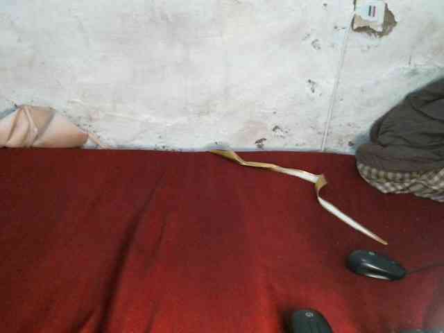 Vivvy-Queen webcam