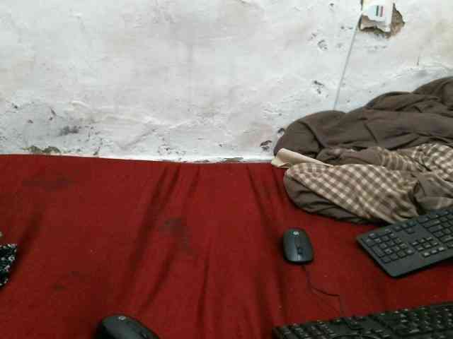 Vivvy-Queen webcam