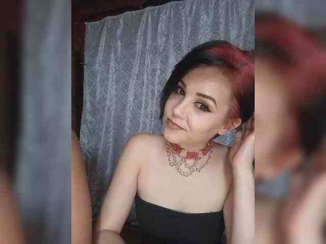 _Dia-Vik_ webcam