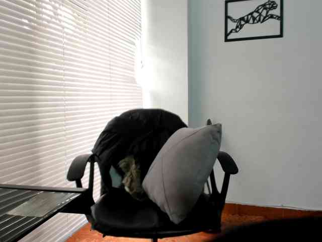 merlinaa-adams webcam